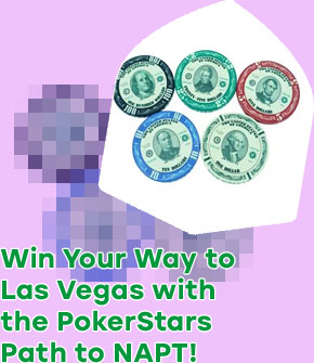1 dollar poker chips